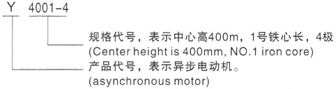 西安泰富西玛Y系列(H355-1000)高压YE2-80M1-4三相异步电机型号说明